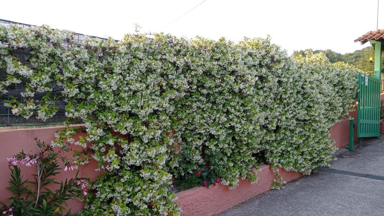 Mimose Holiday home *