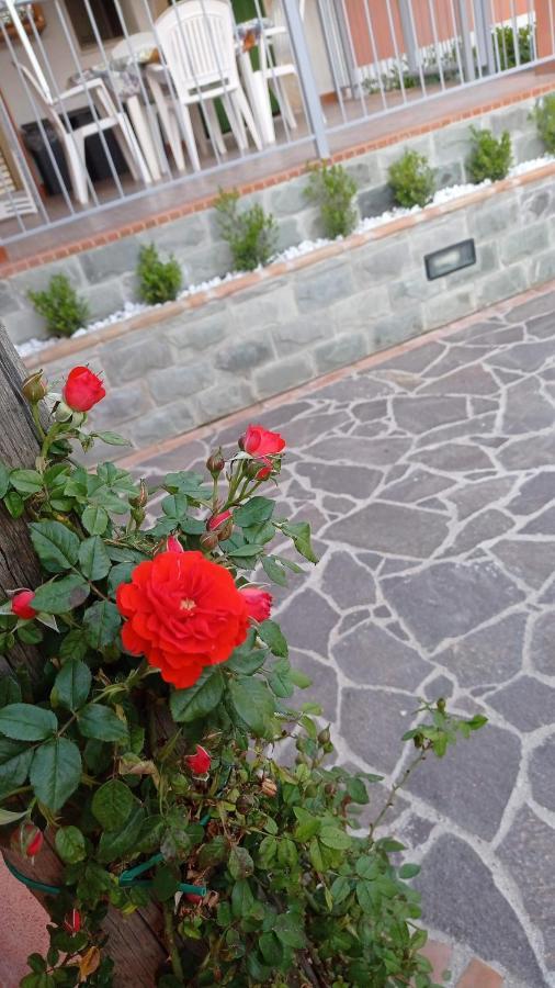 Mimose Ferienhaus Palinuro
