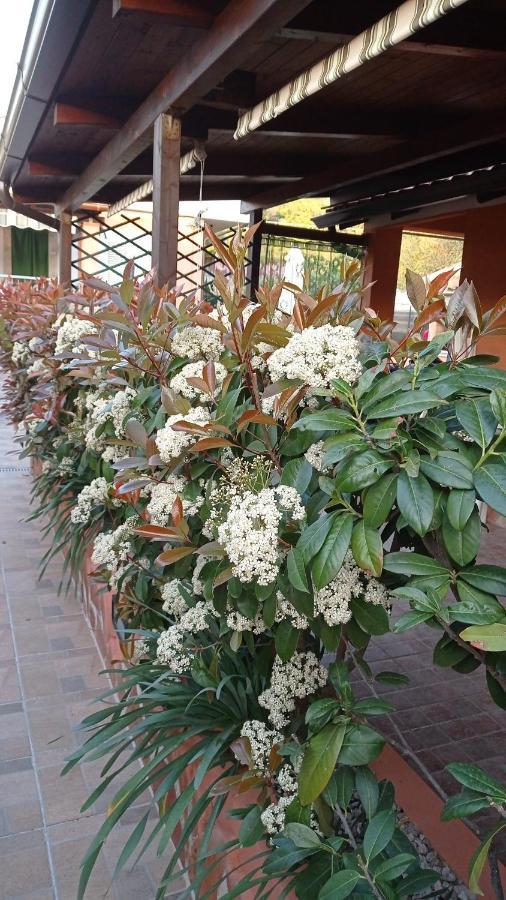 Mimose Holiday home
