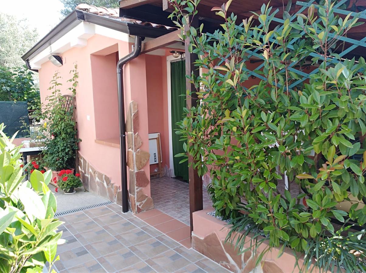 Mimose Ferienhaus