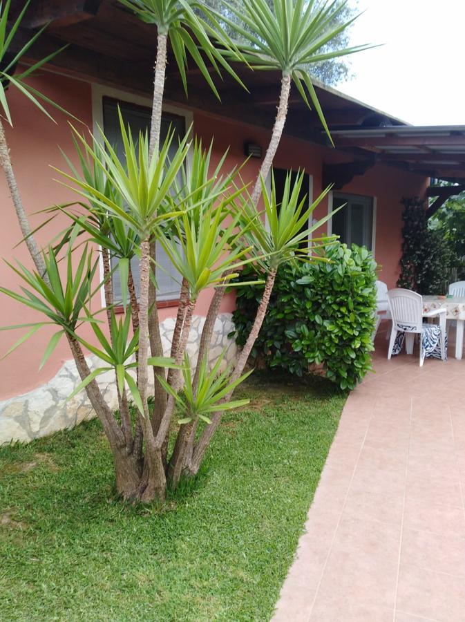 Ferienhaus Mimose *