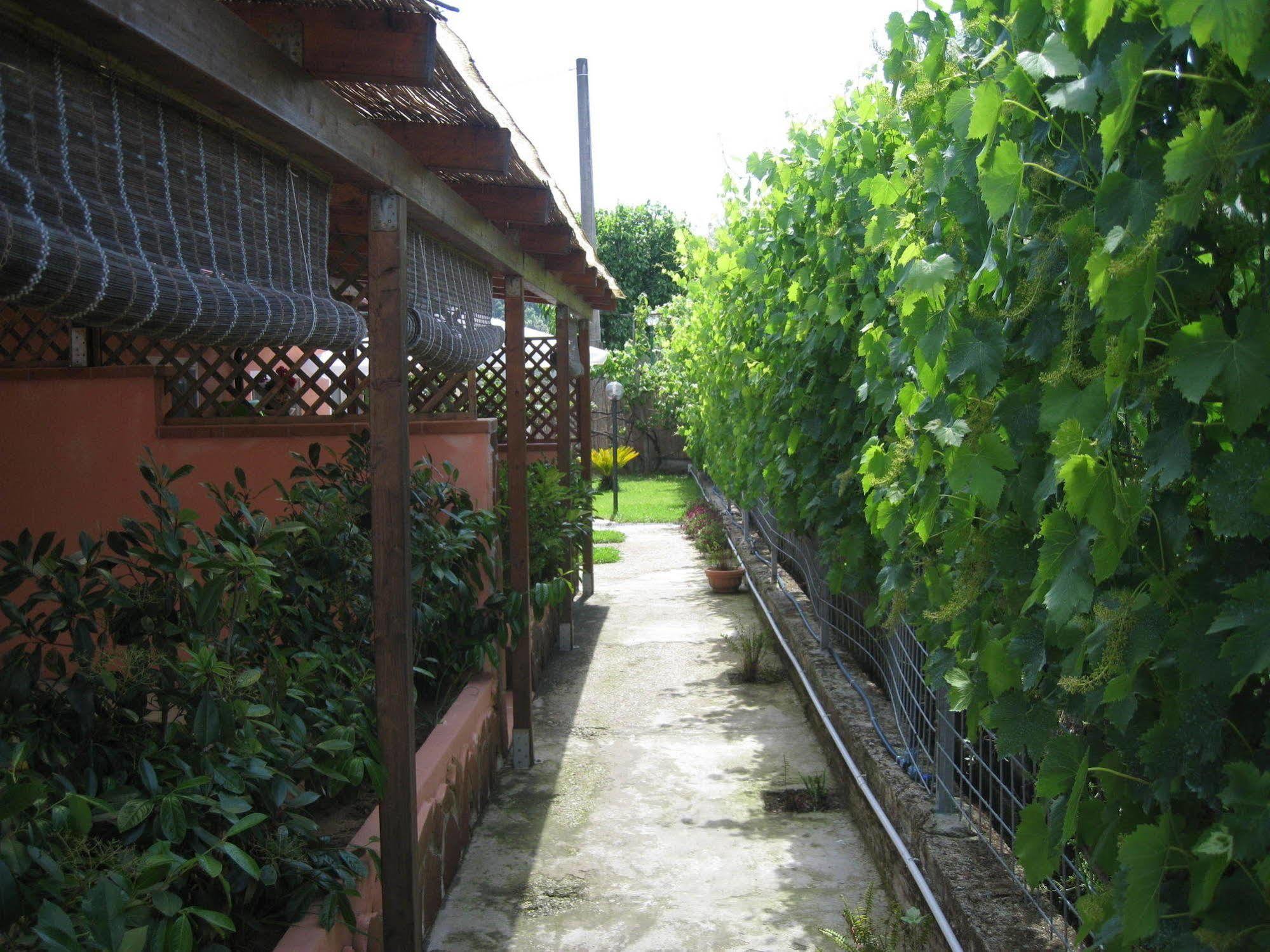 Ferienhaus Mimose *