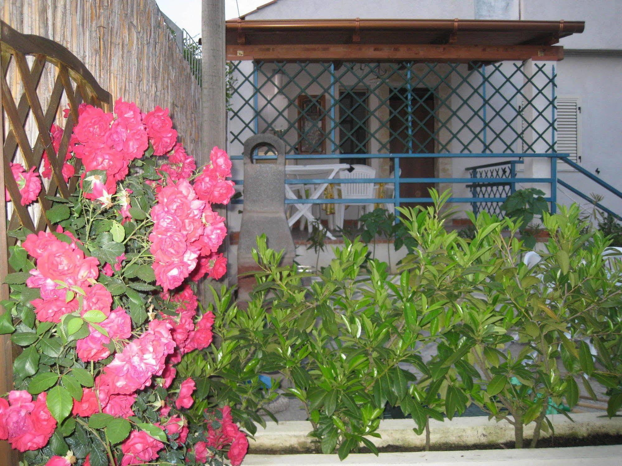 Mimose Ferienhaus *
