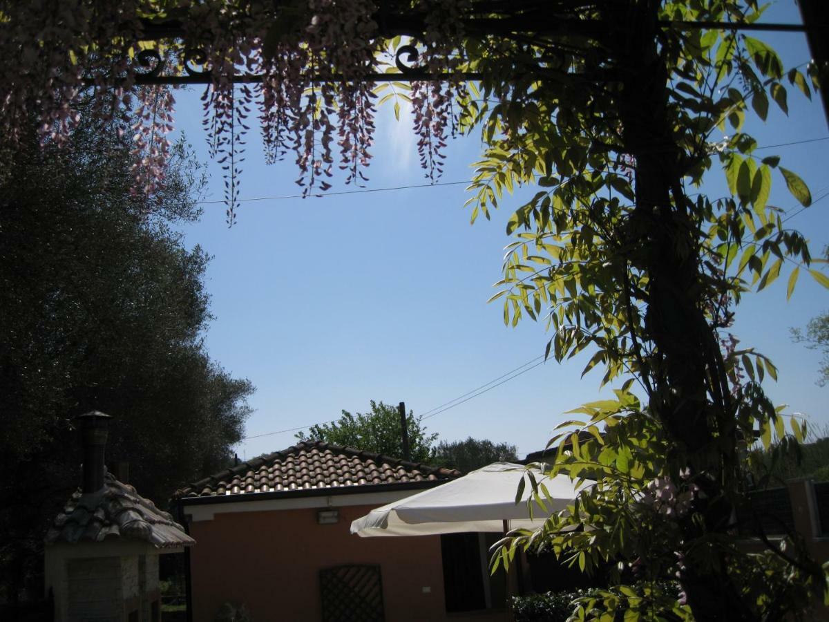 Mimose Ferienhaus *